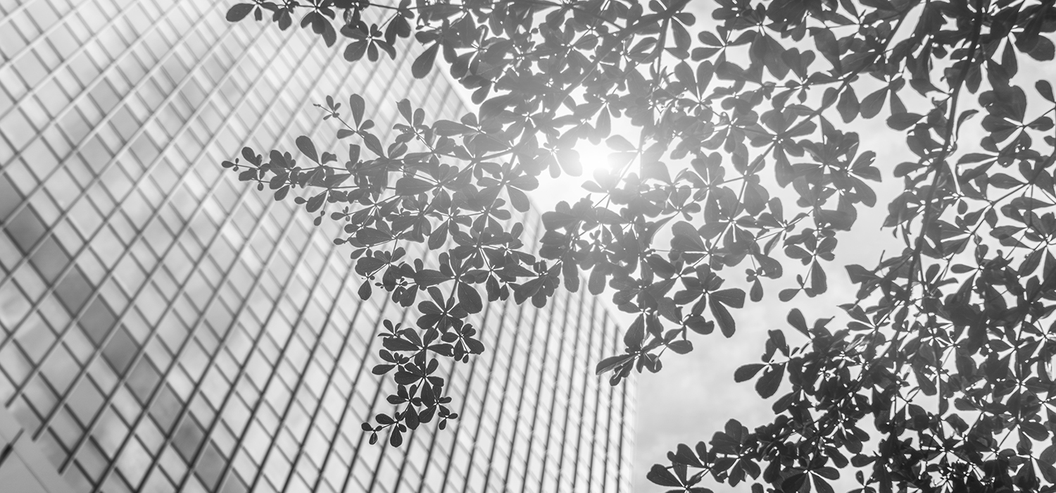 Choosing consciously means truly feeling at home Choosing consciously means truly feeling at home