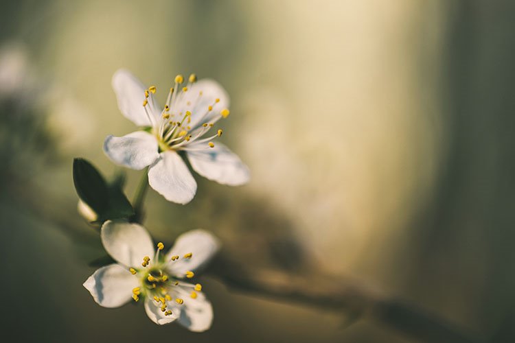 The value of thin marble effect stoneware