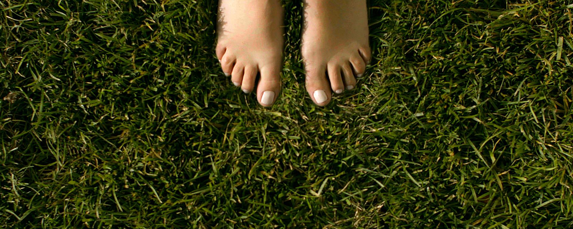 Ceramic. A safe choice.